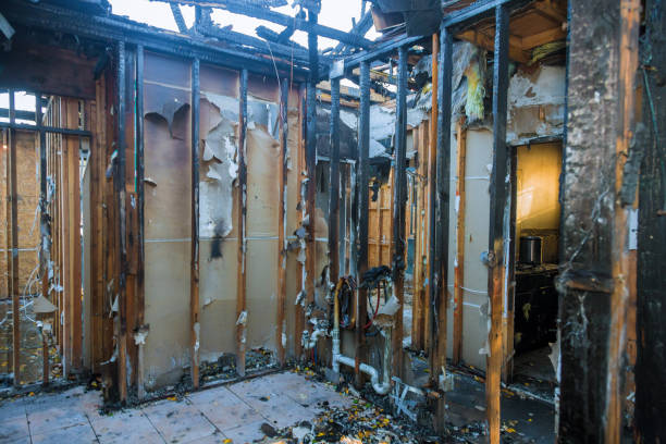 Professional Fire Damage Repair technician working in Becker, MN